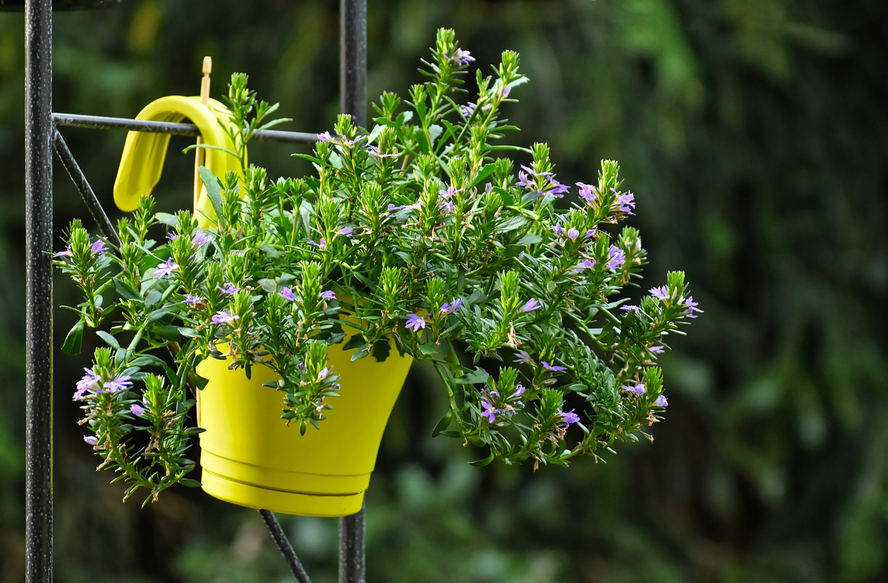 Tips to Establish an Ideal Eco-Friendly Indoor Garden